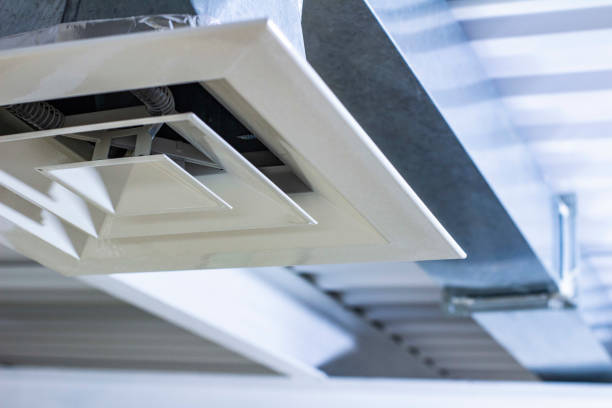 Best Air Duct Sanitizing Services  in Gridley, IL