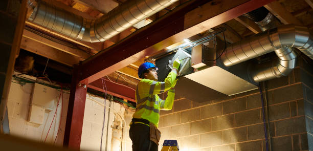 Best Home Air Vent Cleaning  in Gridley, IL