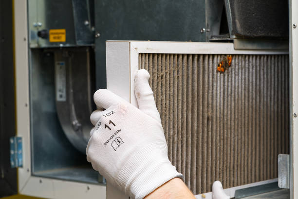 Best Air Duct Cleaning Near Me  in Gridley, IL