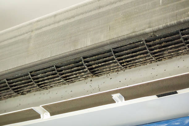 Best Emergency Air Duct Cleaning  in Gridley, IL