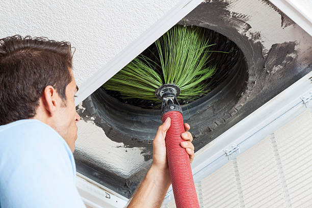 Best Home Air Vent Cleaning  in Gridley, IL