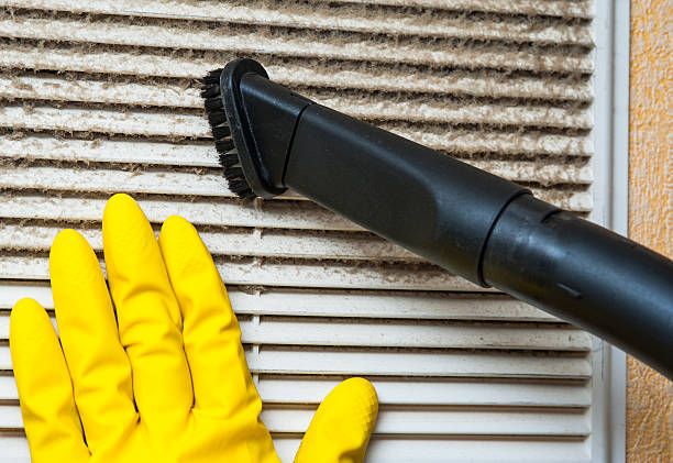 Best Affordable HVAC Duct Cleaning  in Gridley, IL
